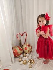 A Little Lacey Poppy Red Christmas Dress