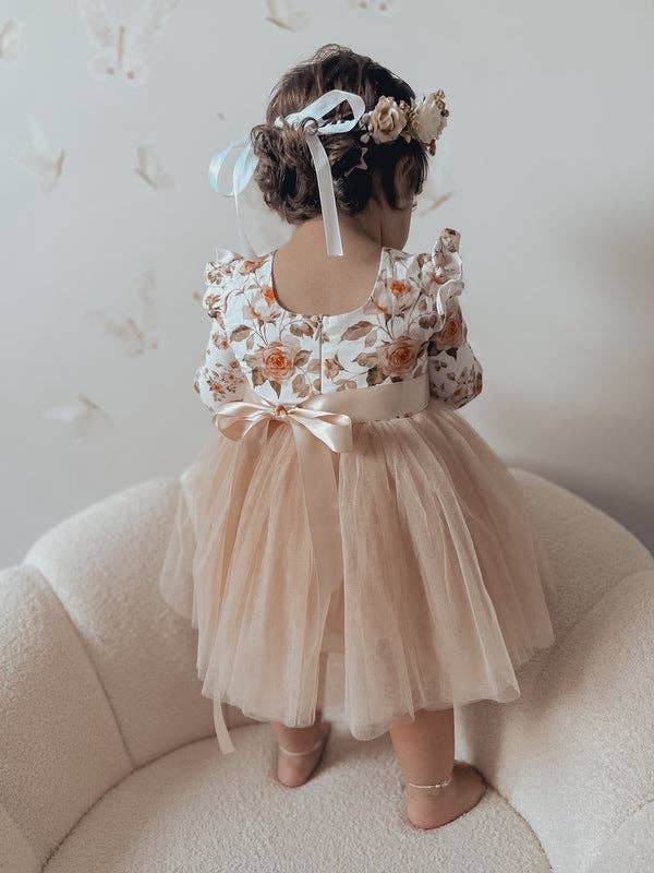 A Little Lacey Millie Rose Girls Long Sleeve Dress