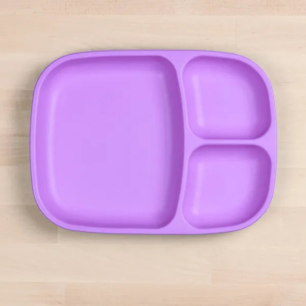 Replay Divided Tray -Purple