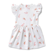 Snuggle Hunny Short Sleeve Organic Dress - Christmas - Candy Cane