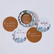 Snuggle Hunny Reversible Milestone Cards – Arizona & Bronze