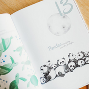 Adored Illustrations Book The Incredible 123