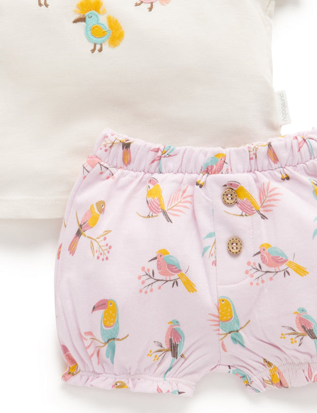 Purebaby Baby Girls Parrot Set